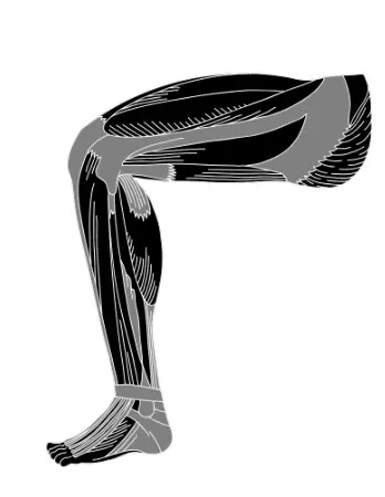 Traitement ostéopathique tensions musculaires - bilan scientifique